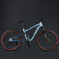 24-26-Inch 10-speed MTB Aluminum Alloy Soft Tail Cross Country DH Racing Bike