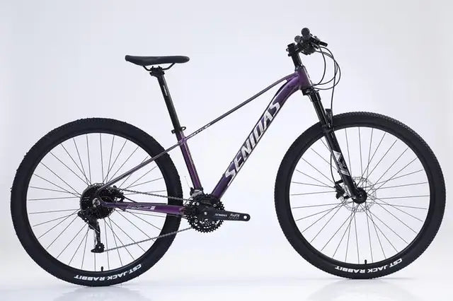 29-inch 30-speed MTB with Alloy Frame Hydraulic Disc Brakes Shock-Absorb Fork