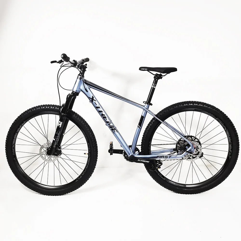 29-inch 12 Speed Mountain Bike MTB with Hydraulic Disc Brakes and Alloy Frame