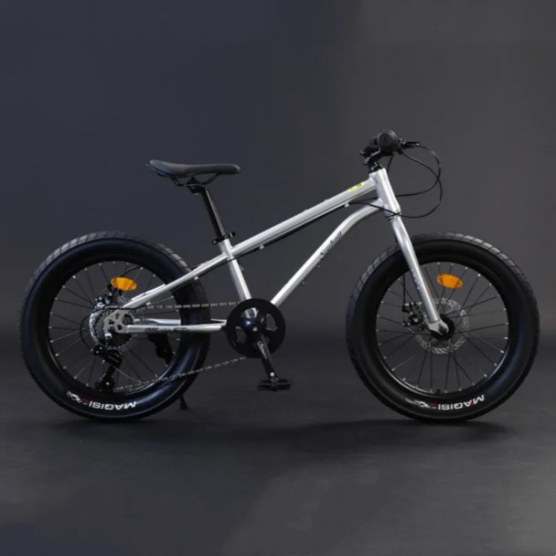 VTT Mountain Fat Bike 20-22-24 pouces à 7 vitesses avec freins à disque 2.0 3.0