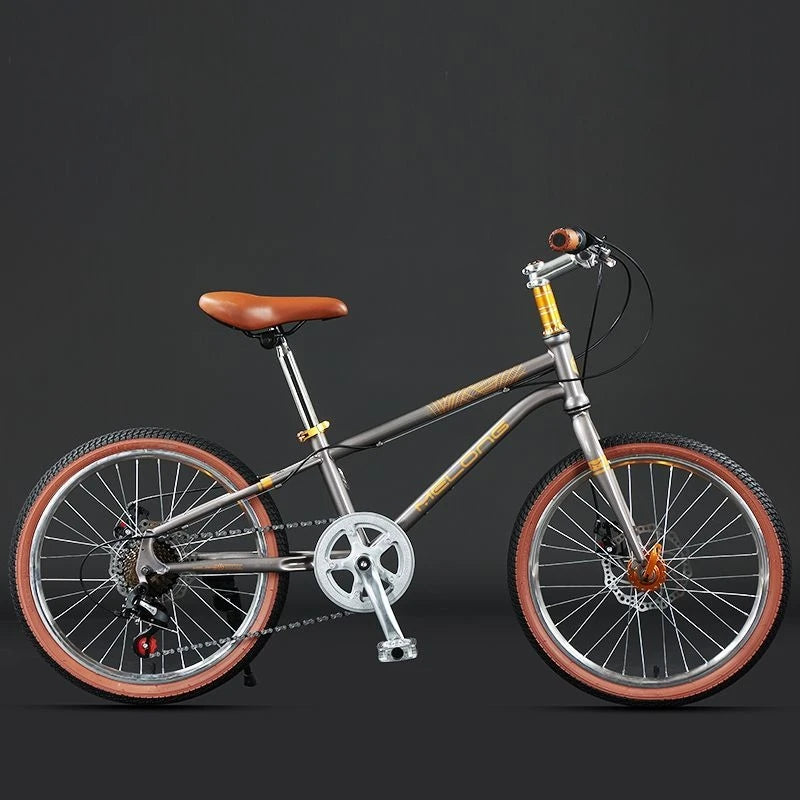 20-inch 7-Speed Vintage Bike MTB High-Carbon Steel Retro City Racer