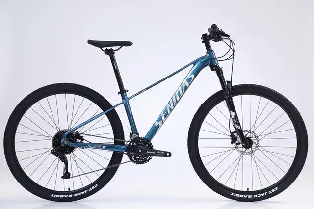 29-inch 30-speed MTB with Alloy Frame Hydraulic Disc Brakes Shock-Absorb Fork