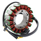 Bobine de Stator de générateur de moto, pour BMW F650GS F800GS F800ST-GT-R F800S F700GS 